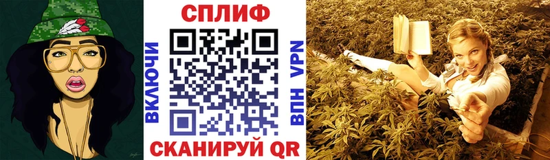Конопля тримм как найти наркотики гидра как войти Белгород